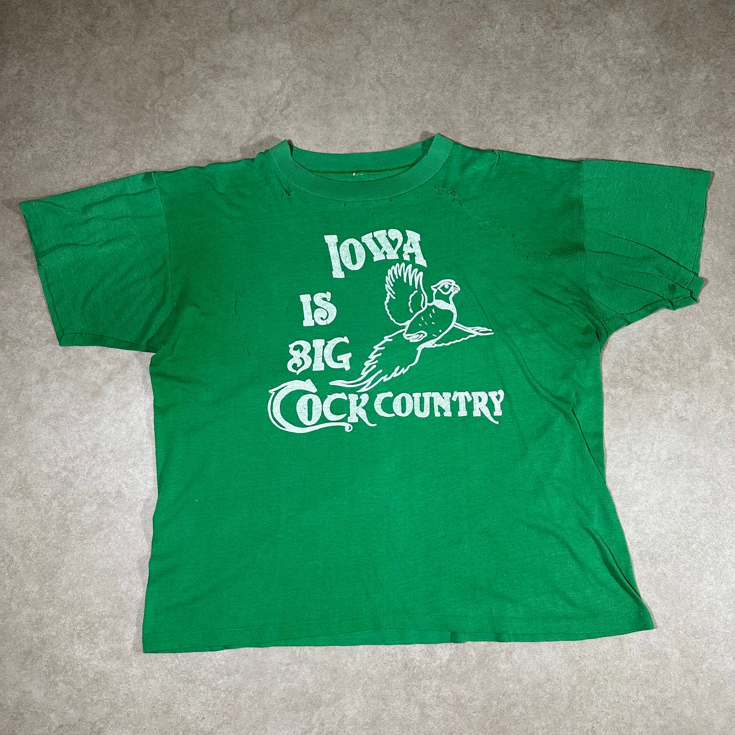 Vintage Iowa thrashed tee (L)
