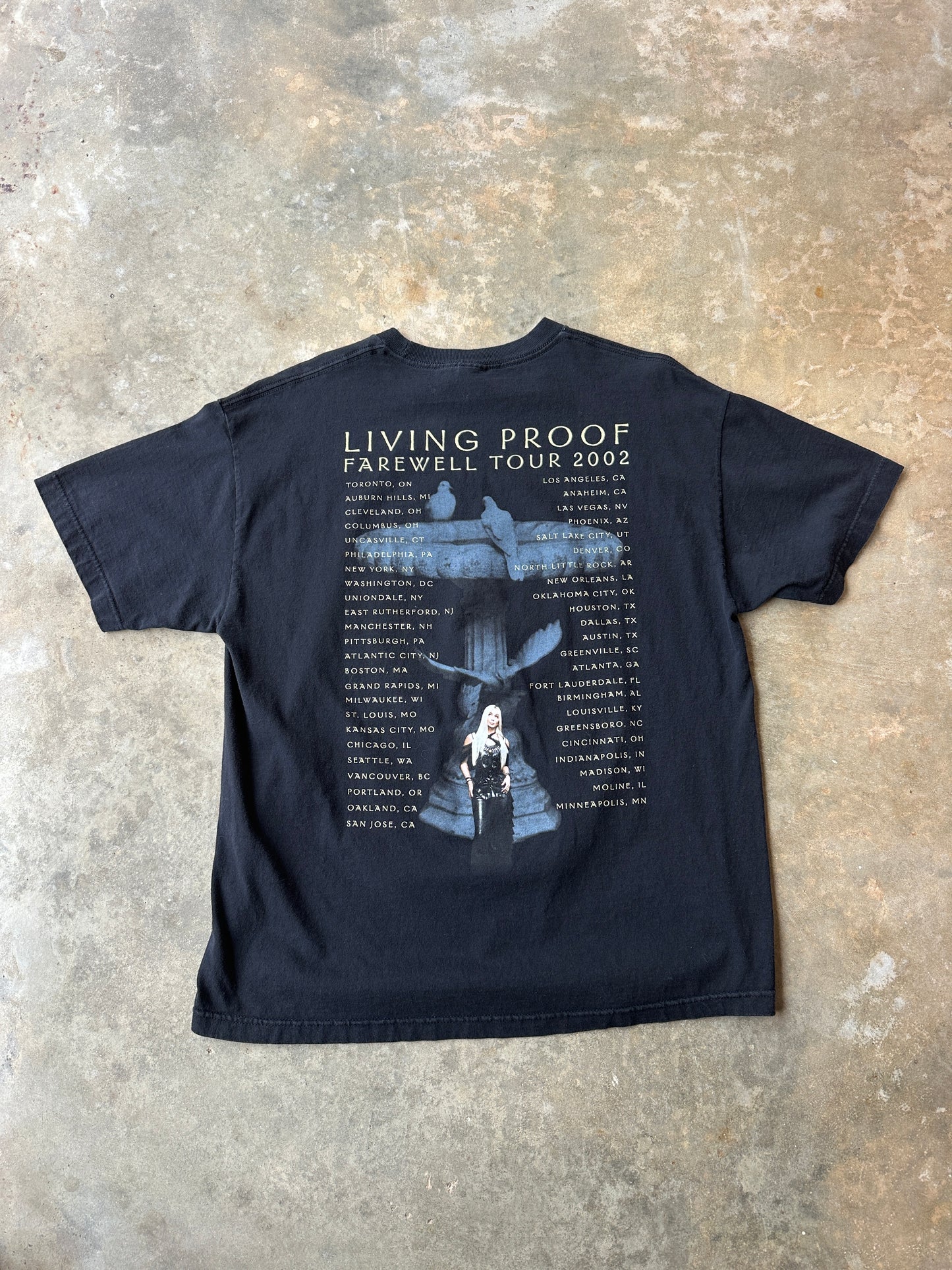 Vintage 2002 Cher living proof farewell tour tshirt (XL)
