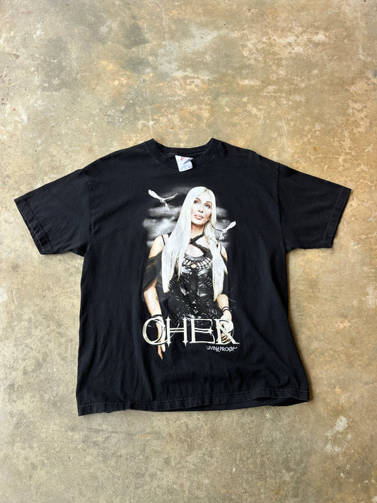 Vintage 2002 Cher living proof farewell tour tshirt (XL)